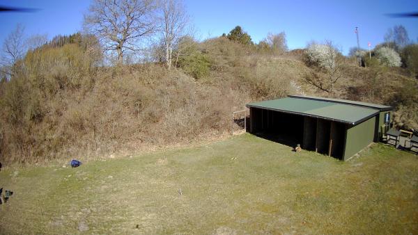 IMG 2025-04-05-11-15-08